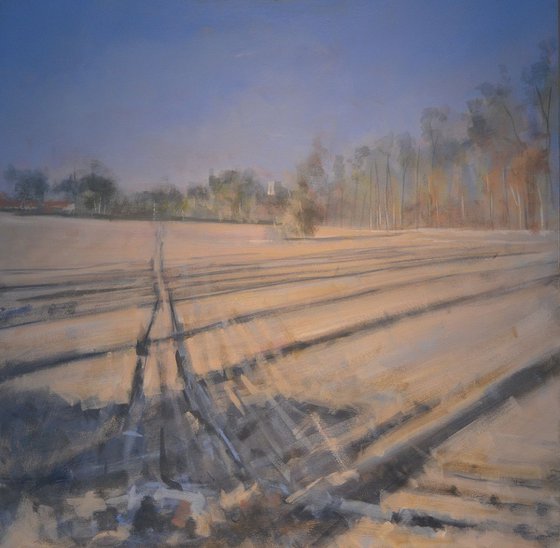 January ploughed field
