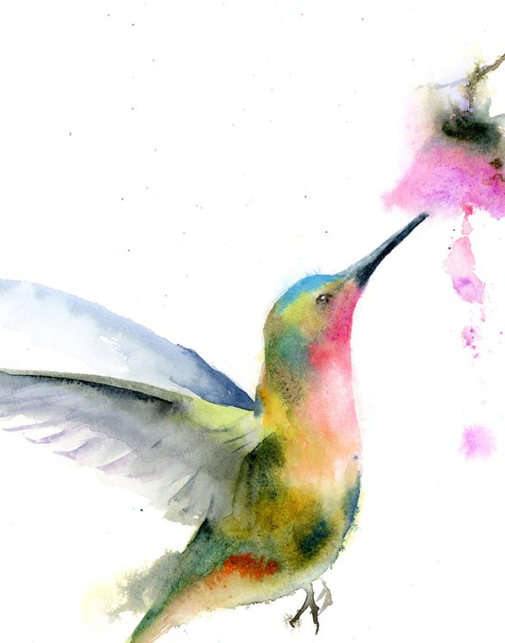 Colorful Hummingbird and flower