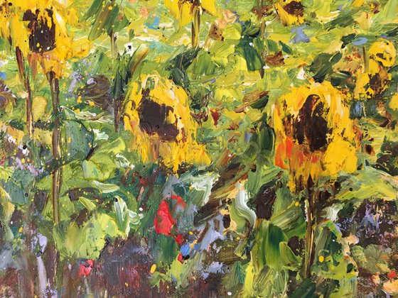 Sunflowers