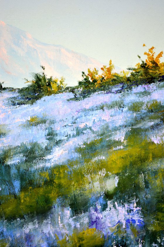 Wild lavender in the haze of the morning sun