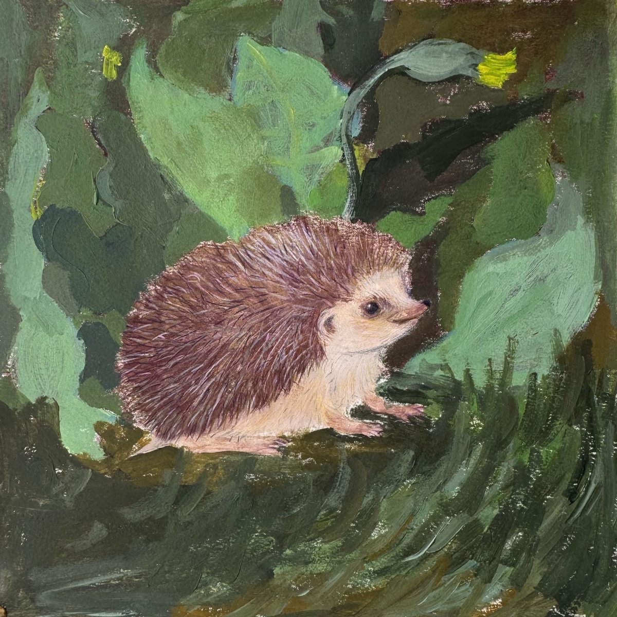 Impressionistic Animal Painting By Anastasia Mazur-Skrobova, 12 X 12, Hedgehog, Original Artwork