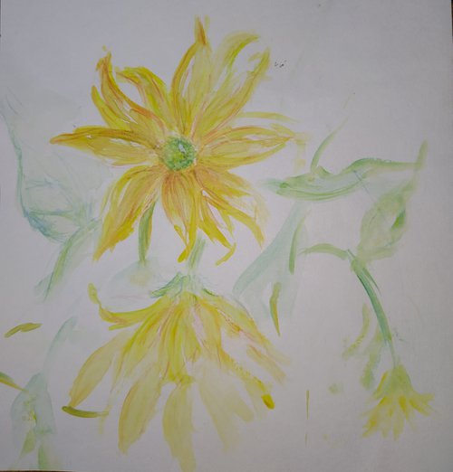 Yellow flowers by Sara Radosavljevic