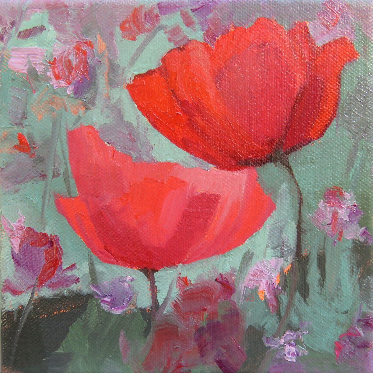 Poppies to Spare by Yanina Eberhard