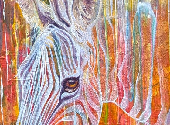 Zebra Queen