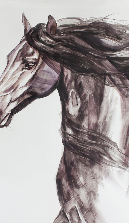 Portrait of a friesian horse by Marie Madej