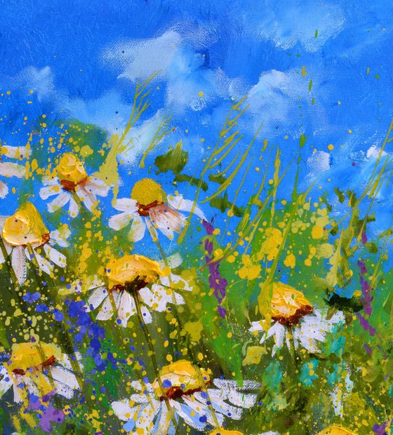 Daisies