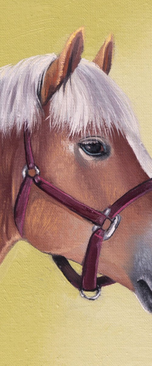 Horse Portrait 27 by Anastasia Parfilo