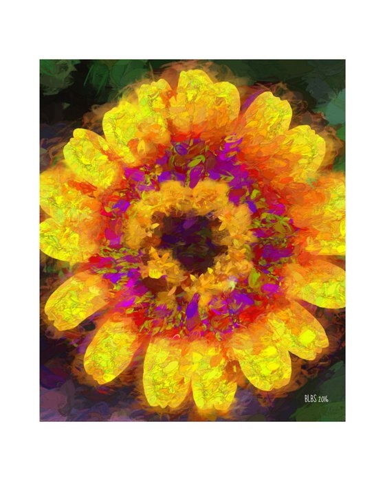 Red and Yellow Impasto Daisy