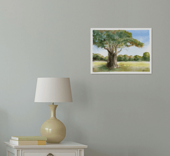 Summer Oak Majesty
