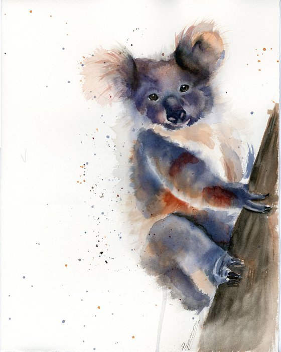 koala