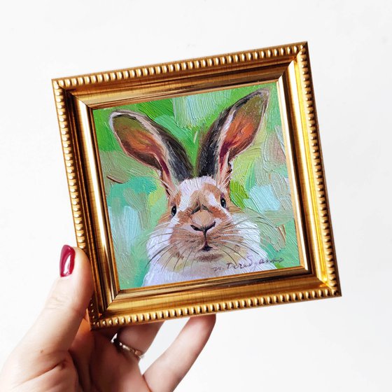 Rabbit portrait