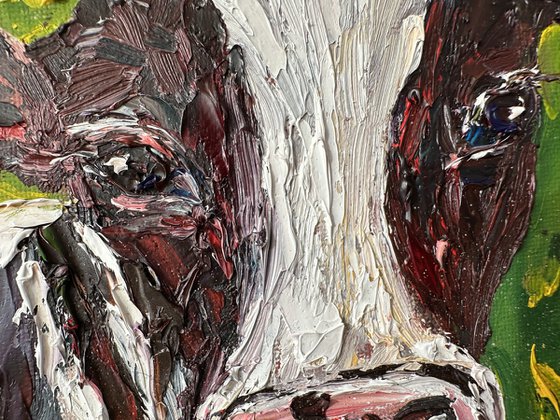 Portrait of a cow