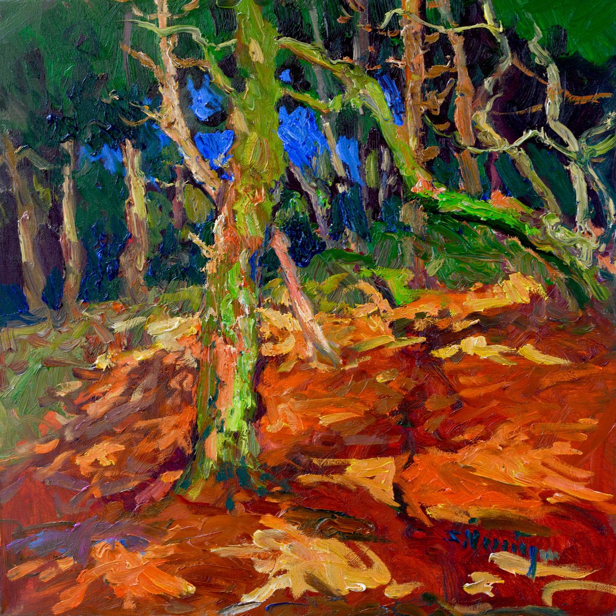 Expressive Oil Painting , Forest. Sunny Day By Suren Nersisyan, 20 X 20, Artwork For Sale On Artfinder
