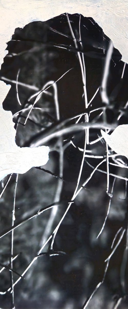 Bramble Silhouette no.3 by Shelton Walsmith