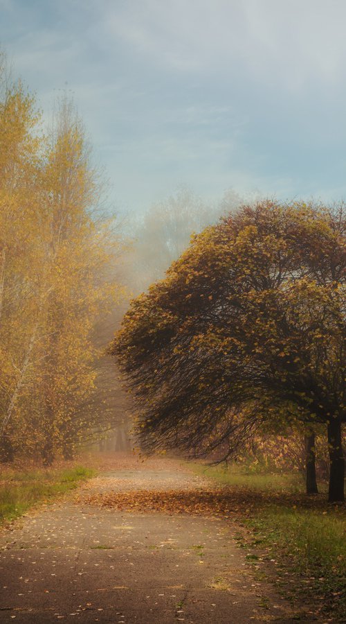 Для Autumn Calm IV — Golden Silence by Vlad Durniev