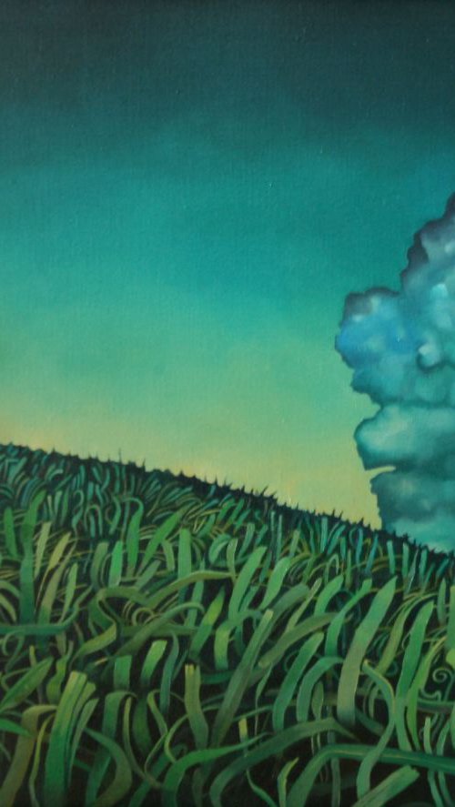 Cluster in the bluster by Rory Mitchell