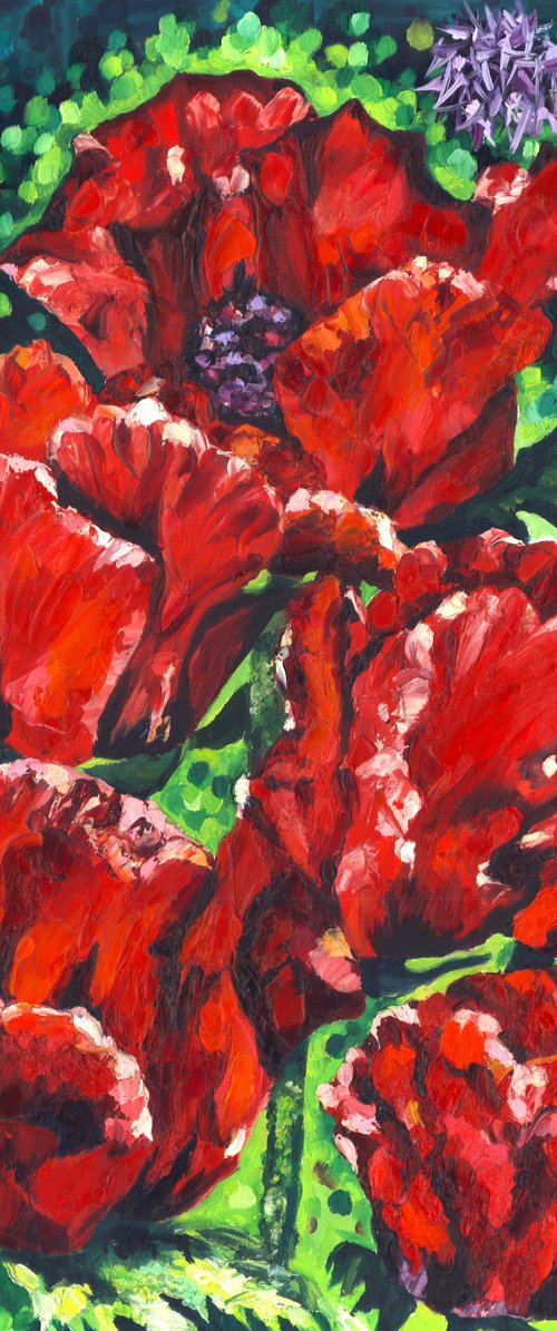 "Beauty of Livermere" Poppies II by Christina M Plichta