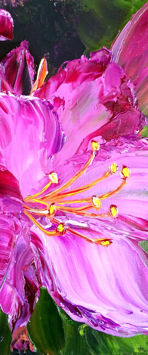 HOT PINK LILY - Large bud. Blooming lily. Bright flower. Close-up. Aroma. Water flower. Find. by Marina Skromova
