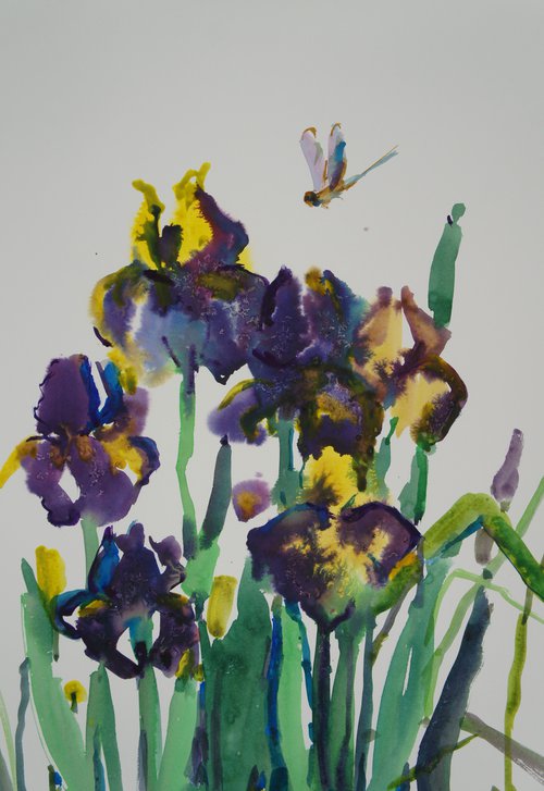 Irises and dragonfly by Elena Sanina