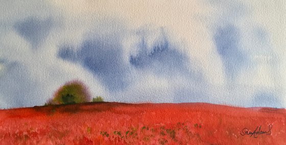 Poppy fields near Badbury rings, Dorset
