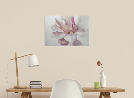 Magnolia Flower