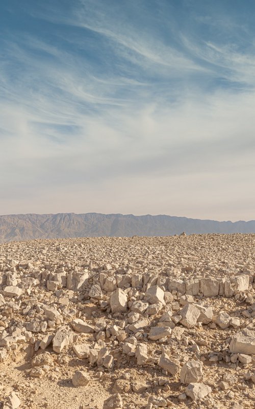 Desert landscape by Lidiya Dmitrieva