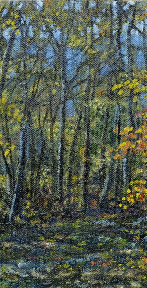 Forest Light - oil 8X10 by Kathleen McDermott