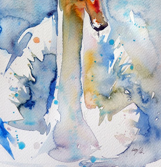 Swan