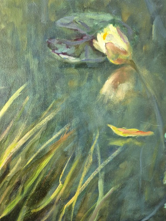 Aquatic sanctuary