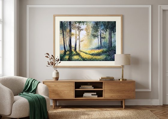 Misty Morning Forest