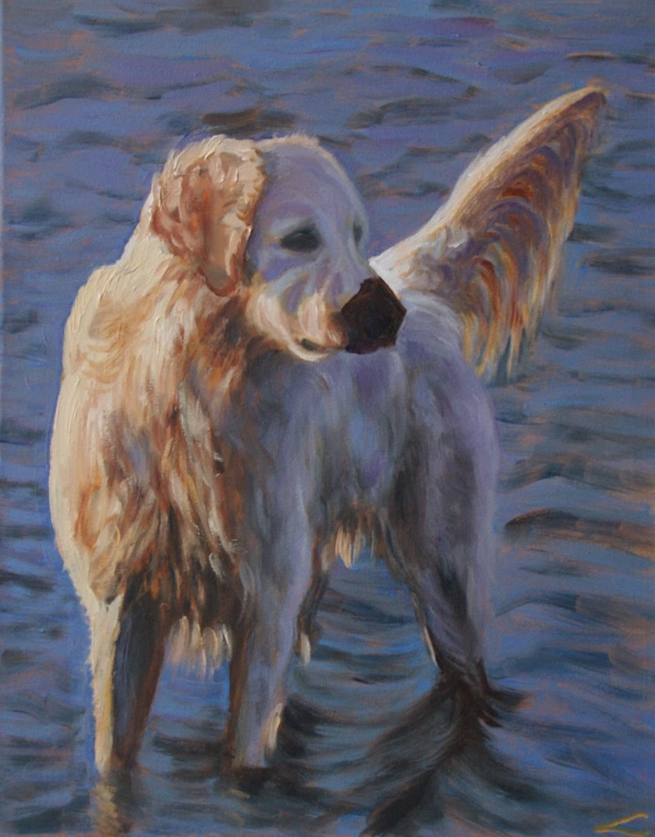 Impressionistic Animal Oil Painting By Elena Sokolova, 16 X 20, Dog At The Sea, Original Artwork