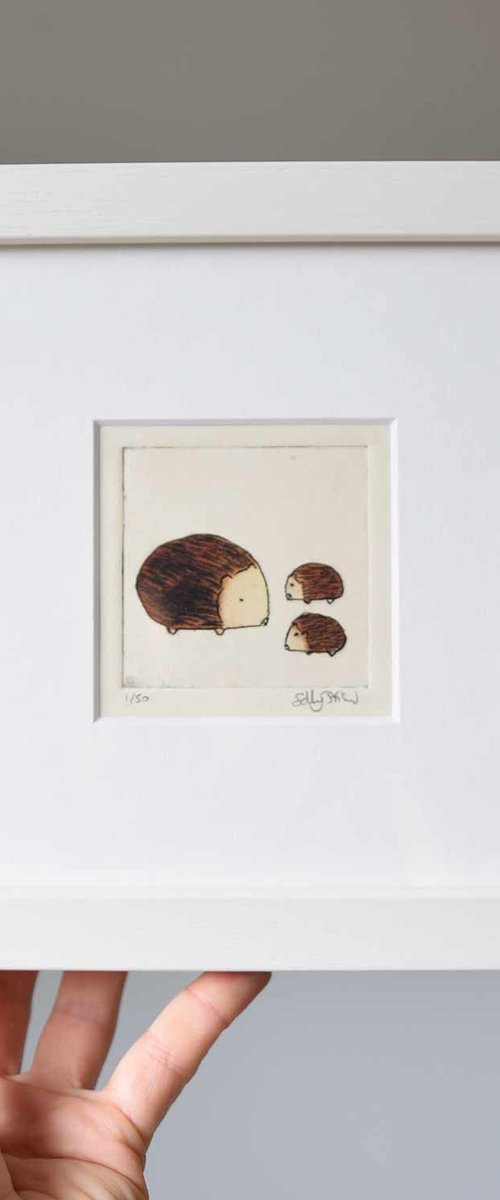 Hedgehogs by Sally Fisher