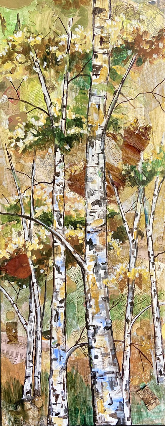 Bark Up The Right TREE