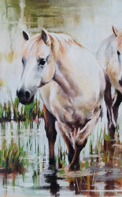 In the wetlands by Magdalena Palega