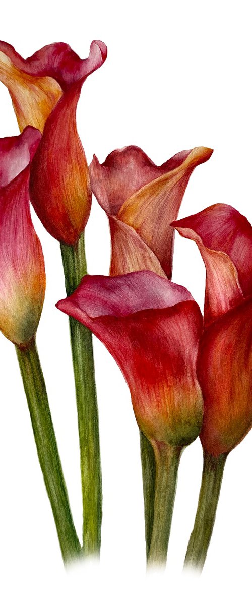 Botanical No.3 by Anna Lyashenko