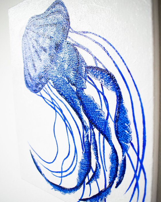 Blue Compass Jellyfish