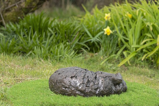 Curled Cat (BR sculpture)