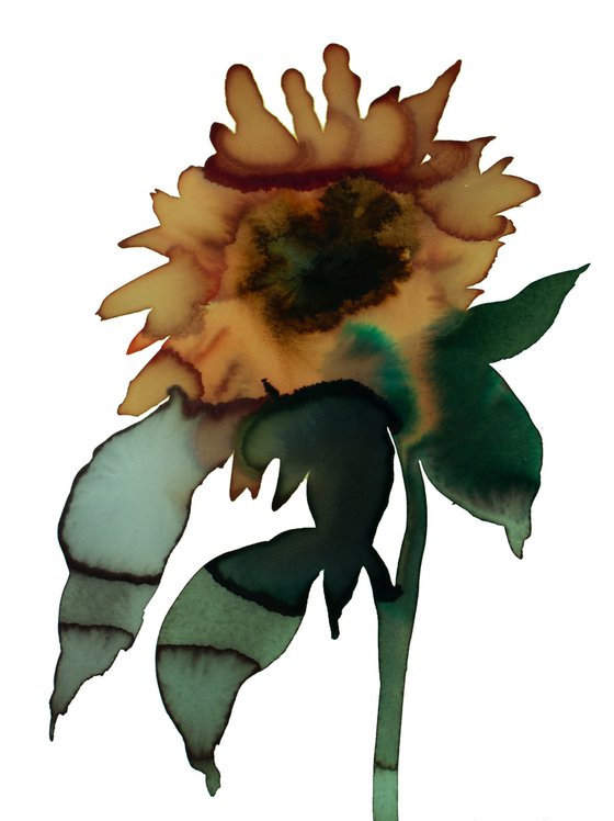 Sunflower No. 3