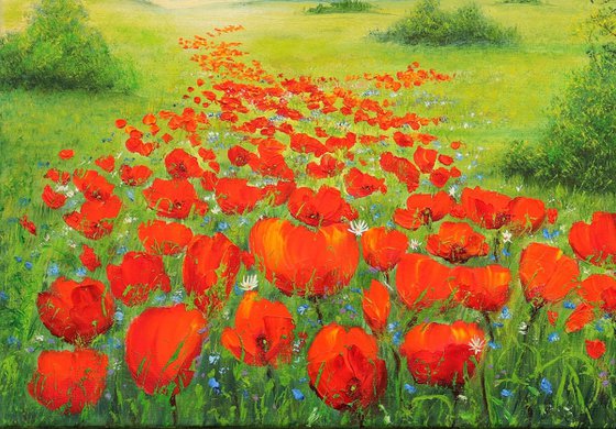 Poppy field by sunrise