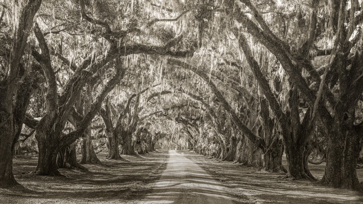 Surrealistic Landscape Photograph By Harv Greenberg, 43 X 24, Passages Through Time Iii, Original Artwork