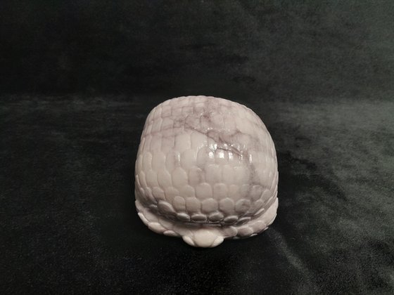 Dragon's Eye