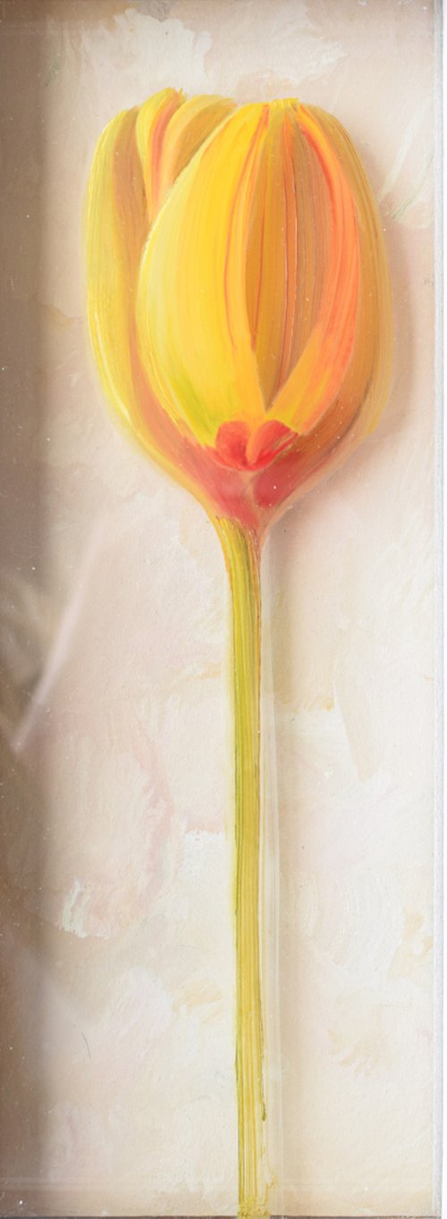 Tulip 1 by Marija Knezevic