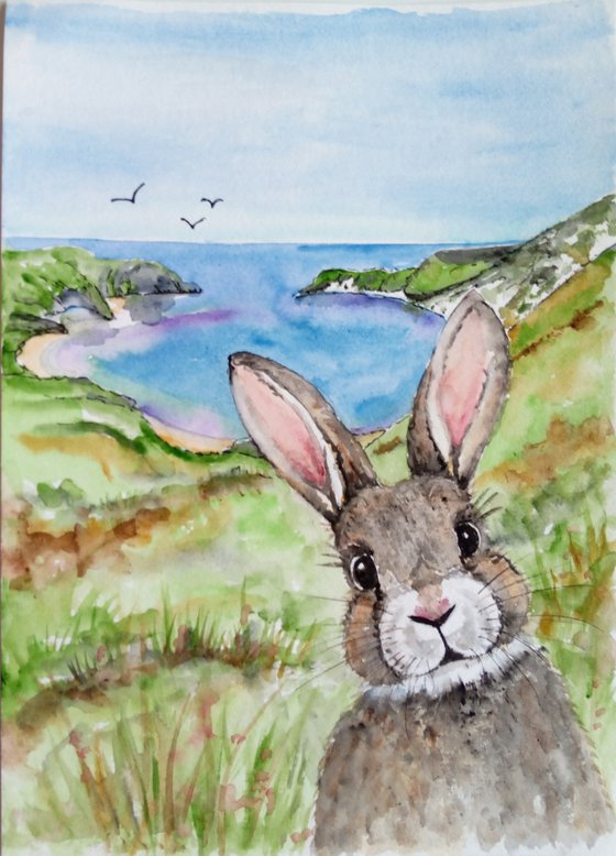 Hare visiting the Seaside
