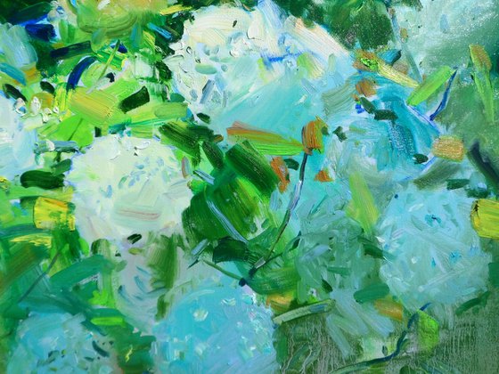 " Hydrangea "