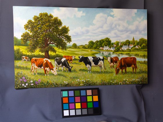 SUMMER IDYLL - COWS IN A MEADOW