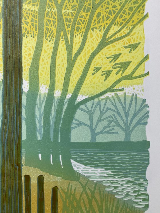 Reflections on the Lake