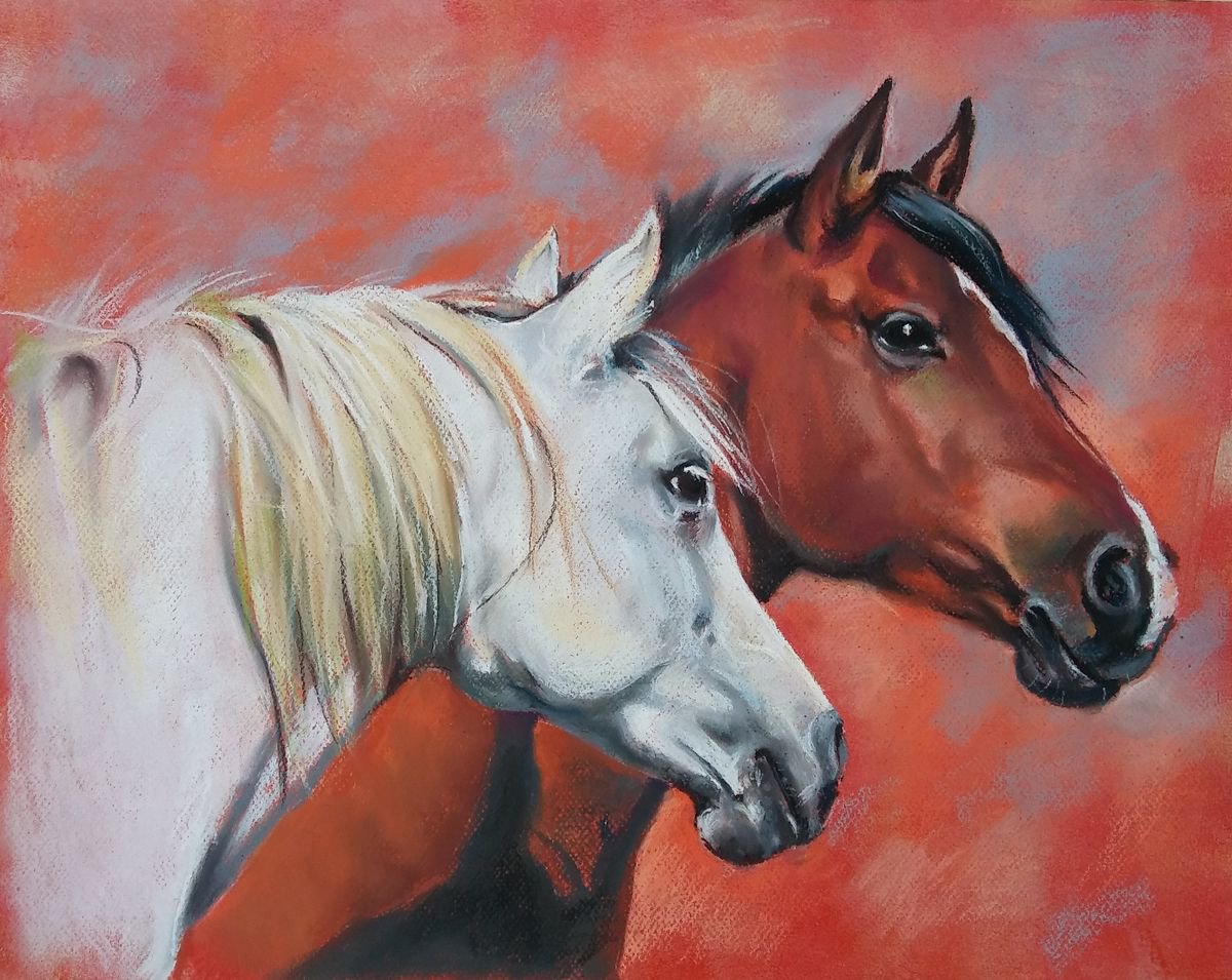 Portrait of horses by Magdalena Palega