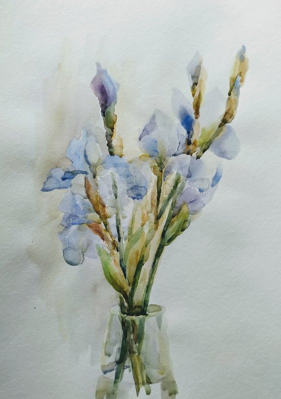 Irises. Original watercolour painting.