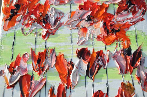 Poppy Flowers