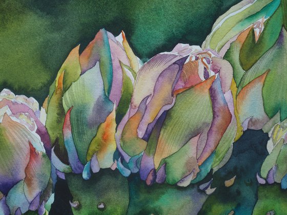 Opuntia blossom - original sunny watercolor